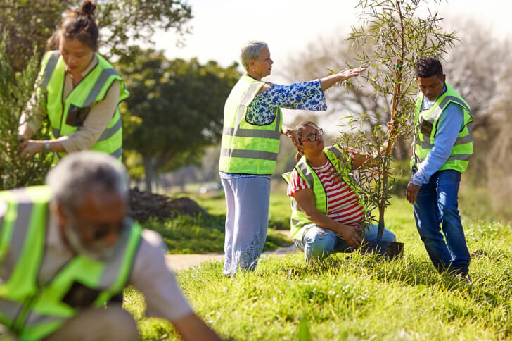 People in a field planting trees in hi-vis jackets