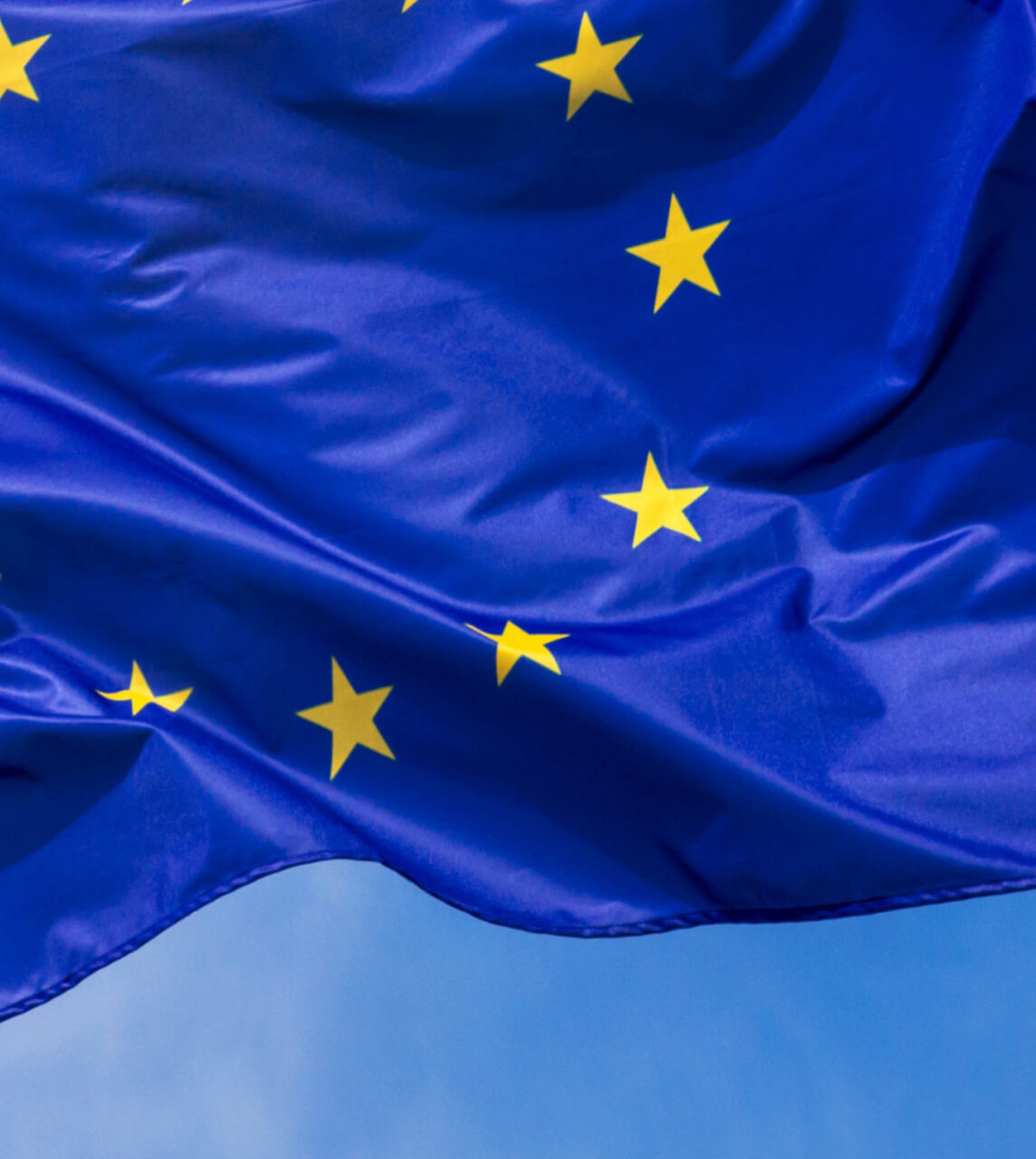 Europian Flag closeup view